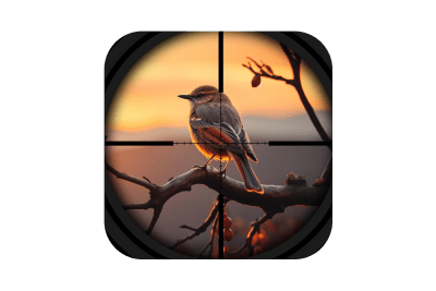 Bird Hunting Game